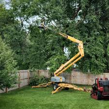  Northampton, PA Tree Services Pros